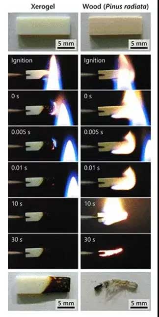 CNF�����z����Ȼľ�ĵĿ�ȼ�Ԝy(c��)ԇ